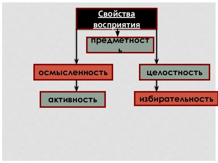 Свойства восприятия предметность осмысленность активность целостность избирательность