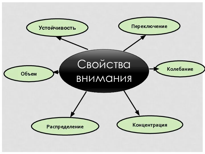 Свойства внимания Переключение Распределение Объем Концентрация Колебание Устойчивость