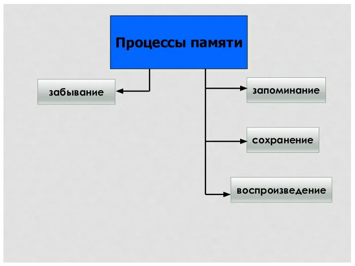 забывание запоминание сохранение воспроизведение Процессы памяти