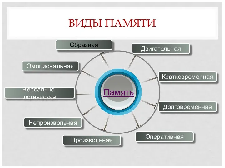 ВИДЫ ПАМЯТИ Образная Двигательная Эмоциональная Кратковременная Произвольная Непроизвольная Вербально-логическая Долговременная Оперативная