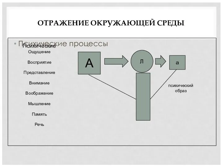 ОТРАЖЕНИЕ ОКРУЖАЮЩЕЙ СРЕДЫ Психические процессы Л А а психический образ Психические