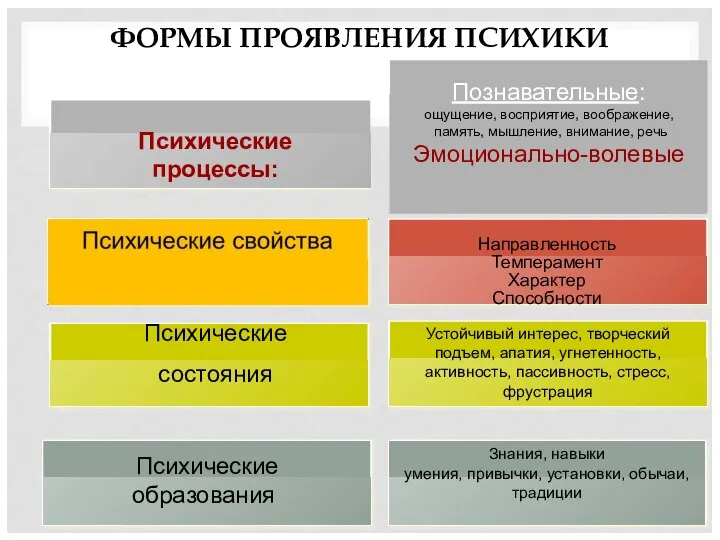 ФОРМЫ ПРОЯВЛЕНИЯ ПСИХИКИ Психические образования Психические состояния Психические процессы: эмоционально-волевые: чувства,