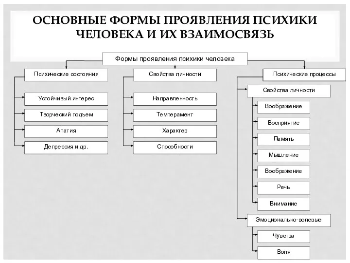 ОСНОВНЫЕ ФОРМЫ ПРОЯВЛЕНИЯ ПСИХИКИ ЧЕЛОВЕКА И ИХ ВЗАИМОСВЯЗЬ