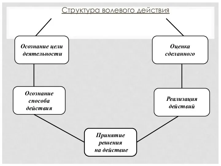 Структура волевого действия Осознание цели деятельности Осознание способа действия Принятие решения