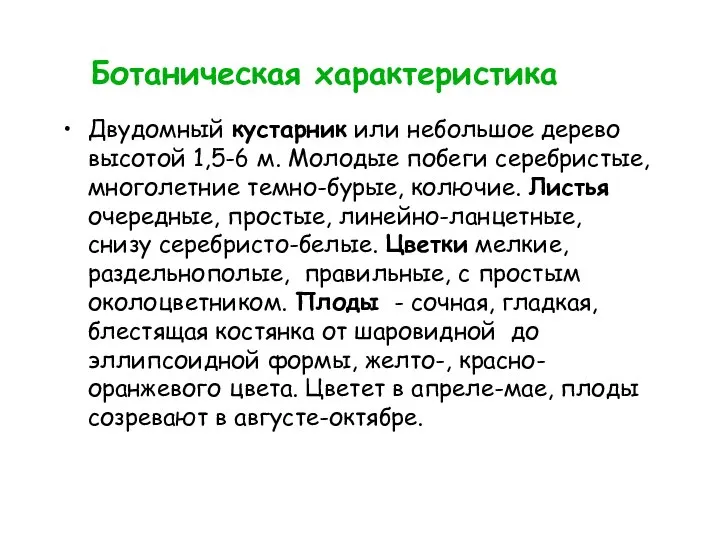 Ботаническая характеристика Двудомный кустарник или небольшое дерево высотой 1,5-6 м. Молодые