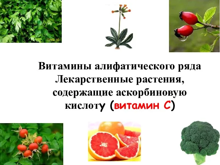 Витамины алифатического ряда Лекарственные растения, содержащие аскорбиновую кислоту (витамин С)