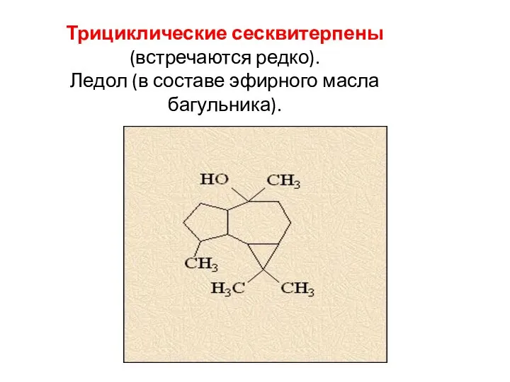 Трициклические сесквитерпены (встречаются редко). Ледол (в составе эфирного масла багульника).