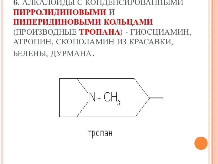 6. АЛКАЛОИДЫ С КОНДЕНСИРОВАННЫМИ ПИРРОЛИДИНОВЫМИ И ПИПЕРИДИНОВЫМИ КОЛЬЦАМИ (ПРОИЗВОДНЫЕ ТРОПАНА) -