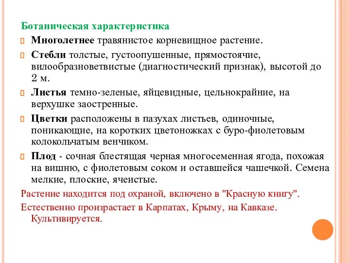 Ботаническая характеристика Многолетнее травянистое корневищное растение. Стебли толстые, густоопушенные, прямостоячие, вилообразноветвистые