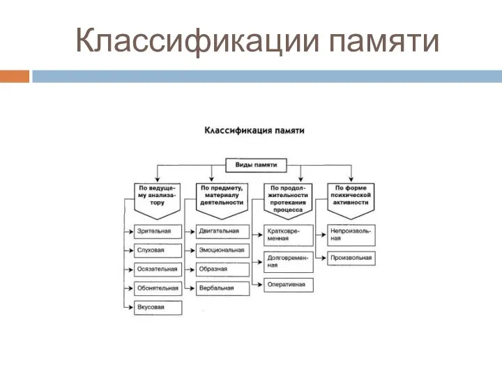 Классификации памяти