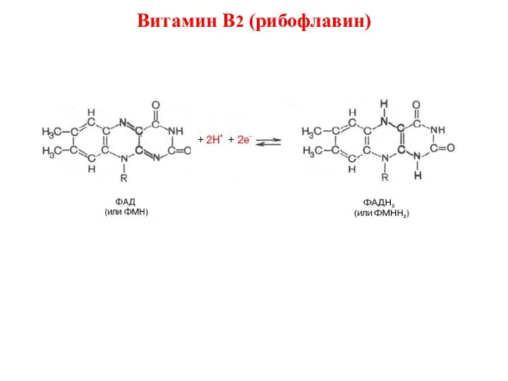 Витамин В2 (рибофлавин)