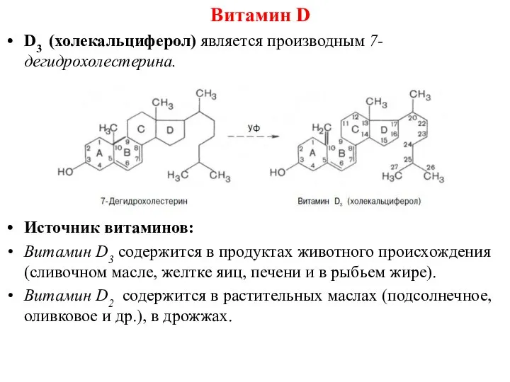 D3 (холекальциферол) является производным 7-дегидрохолестерина. Источник витаминов: Витамин D3 содержится в