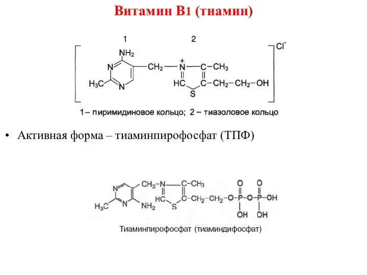 Витамин B1 (тиамин) Активная форма – тиаминпирофосфат (ТПФ)