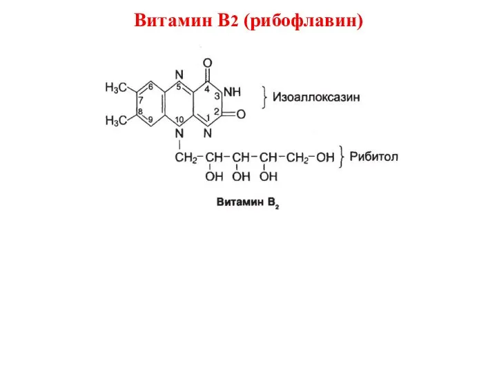 Витамин В2 (рибофлавин)