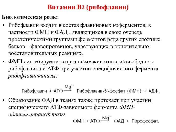 Биологическая роль: Рибофлавин входит в состав флавиновых коферментов, в частности ФМН