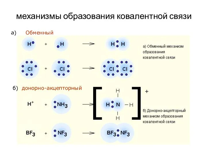 механизмы образования ковалентной связи а) Обменный б) донорно-акцепторный +