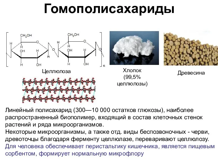 Целлюлоза Гомополисахариды Хлопок (99,5% целлюлозы) Линейный полисахарид (300—10 000 остатков глюкозы),