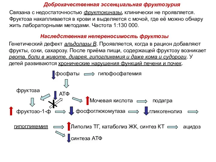 Доброкачественная эссенциальная фруктозурия Связана с недостаточностью фруктокиназы, клинически не проявляется. Фруктоза