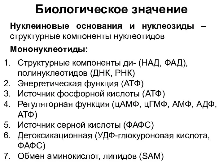 Биологическое значение Нуклеиновые основания и нуклеозиды – структурные компоненты нуклеотидов Мононуклеотиды: