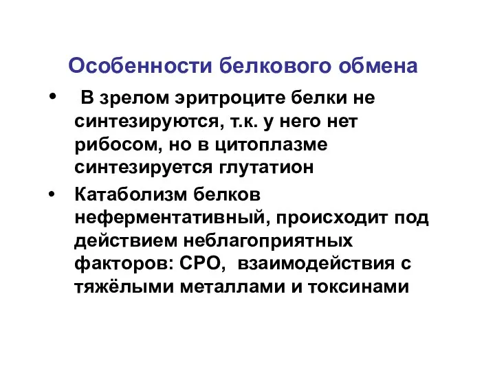 В зрелом эритроците белки не синтезируются, т.к. у него нет рибосом,