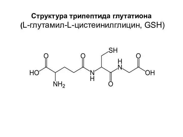 Структура трипептида глутатиона (L-глутамил-L-цистеинилглицин, GSH)