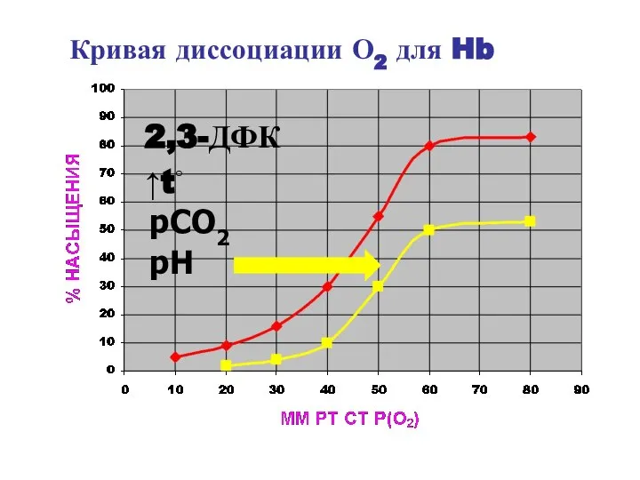 Кривая диссоциации О2 для Hb ↑t◦ pH pCO2 2,3-ДФК