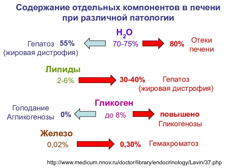 Содержание отдельных компонентов в печени при различной патологии Н2О 70-75% 80%