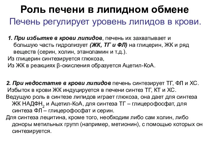 Роль печени в липидном обмене Печень регулирует уровень липидов в крови.