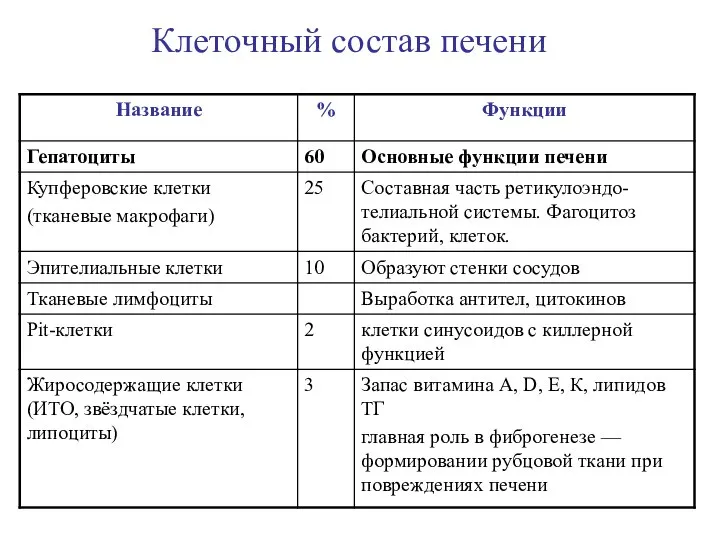 Клеточный состав печени