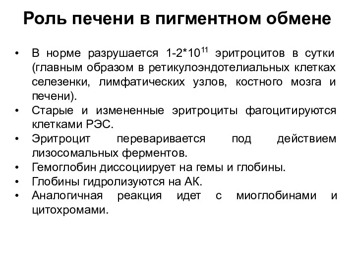 Роль печени в пигментном обмене В норме разрушается 1-2*1011 эритроцитов в