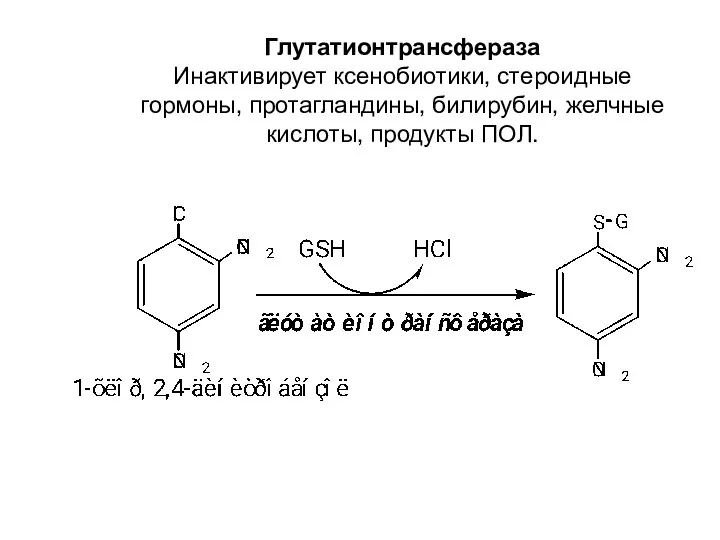 Глутатионтрансфераза Инактивирует ксенобиотики, стероидные гормоны, протагландины, билирубин, желчные кислоты, продукты ПОЛ.