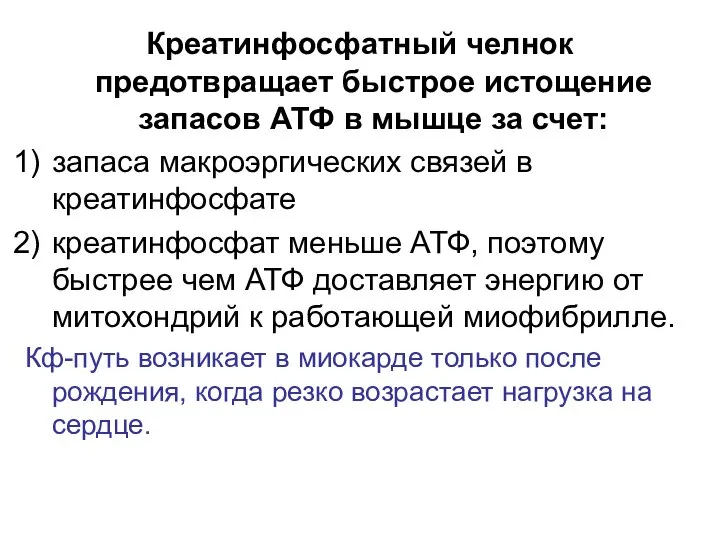 Креатинфосфатный челнок предотвращает быстрое истощение запасов АТФ в мышце за счет: