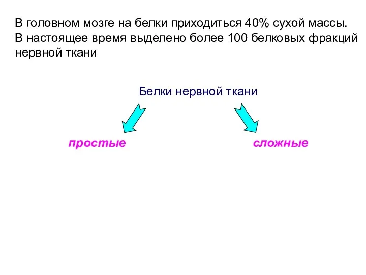 Белки нервной ткани сложные простые В головном мозге на белки приходиться