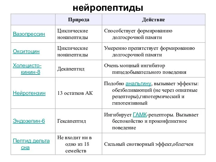 нейропептиды