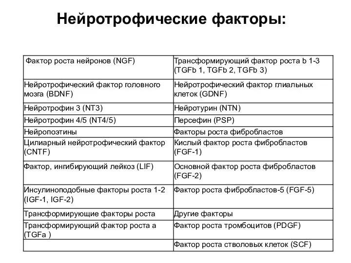 Нейротрофические факторы: