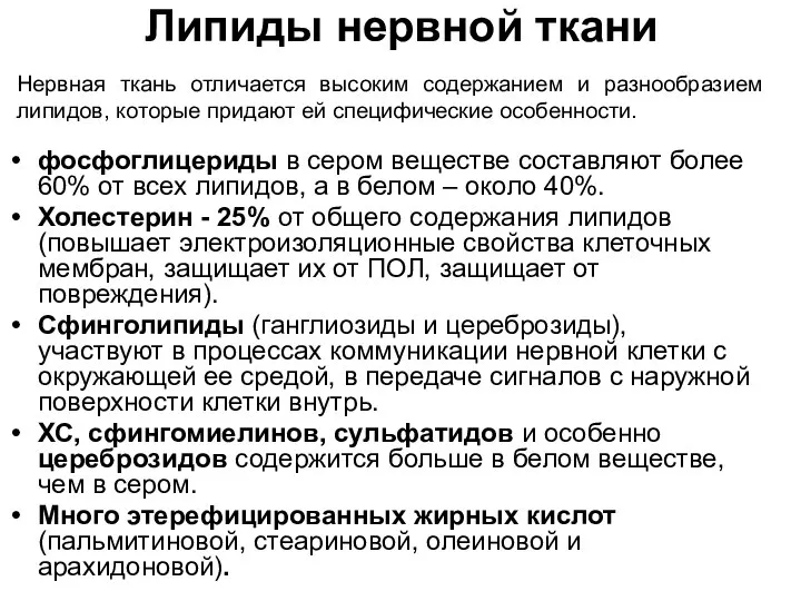 Липиды нервной ткани фосфоглицериды в сером веществе составляют более 60% от