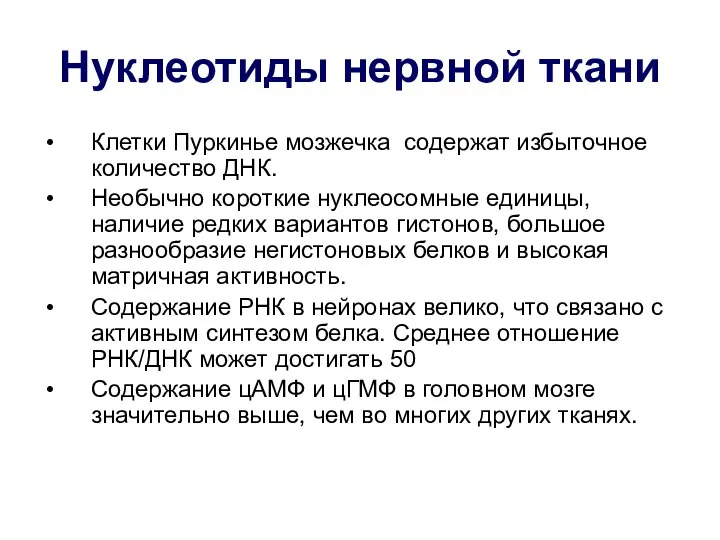 Нуклеотиды нервной ткани Клетки Пуркинье мозжечка содержат избыточное количество ДНК. Необычно