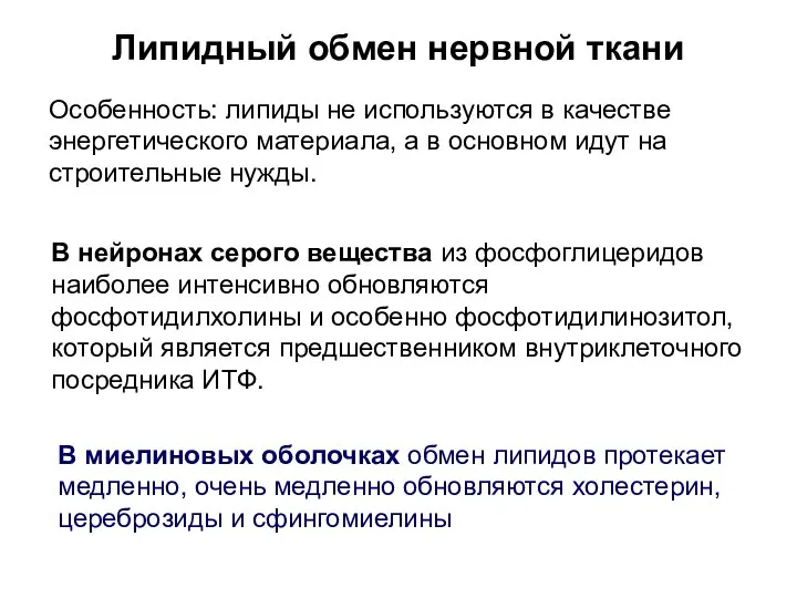 Липидный обмен нервной ткани Особенность: липиды не используются в качестве энергетического