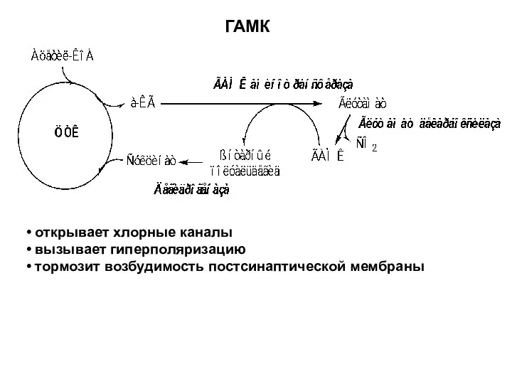 открывает хлорные каналы вызывает гиперполяризацию тормозит возбудимость постсинаптической мембраны ГАМК