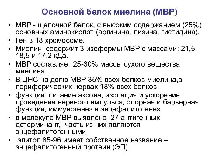 Основной белок миелина (MBP) MBP - щелочной белок, с высоким содержанием