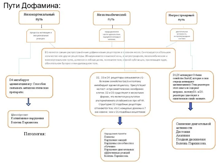 Пути Дофамина: Патология: Патология Патология