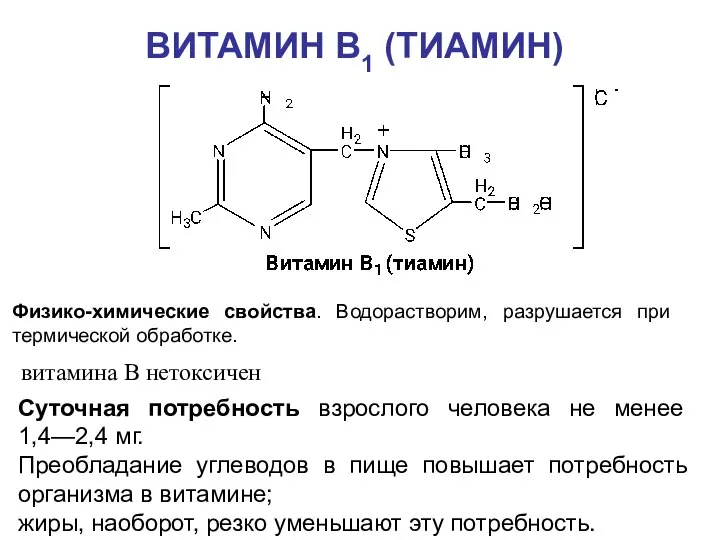 ВИТАМИН B1 (ТИАМИН) Суточная потребность взрослого человека не менее 1,4—2,4 мг.