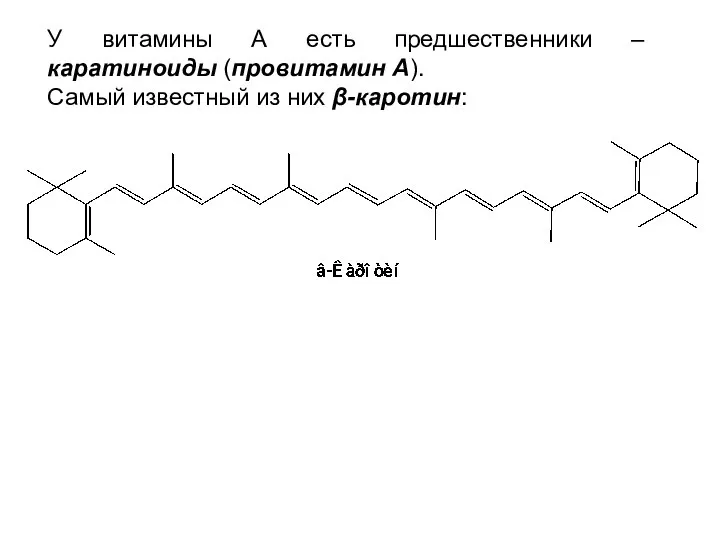 У витамины А есть предшественники – каратиноиды (провитамин А). Самый известный из них β-каротин: