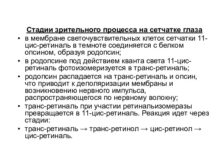 Стадии зрительного процесса на сетчатке глаза в мембране светочувствительных клеток сетчатки