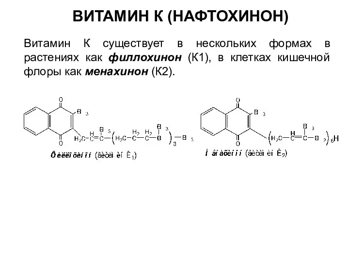 ВИТАМИН К (НАФТОХИНОН) Витамин К существует в нескольких формах в растениях