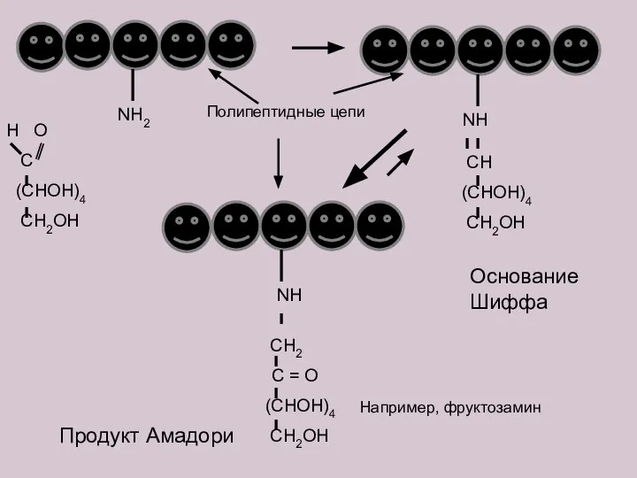 NH2 H O C (CHOH)4 CH2OH NH CH (CHOH)4 CH2OH NH