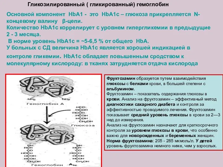 Основной компонент HbA1 - это HbA1c – глюкоза прикрепляется N-концевому валину