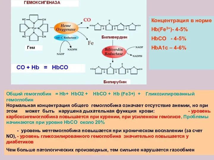 Общий гемоглобин = Hb+ HbO2 + HbCO + Hb (Fe3+) +