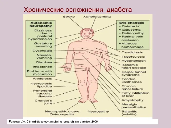 Хронические осложнения диабета Fonseca V.A. Clinical diabetes^translating research into practice. 2006