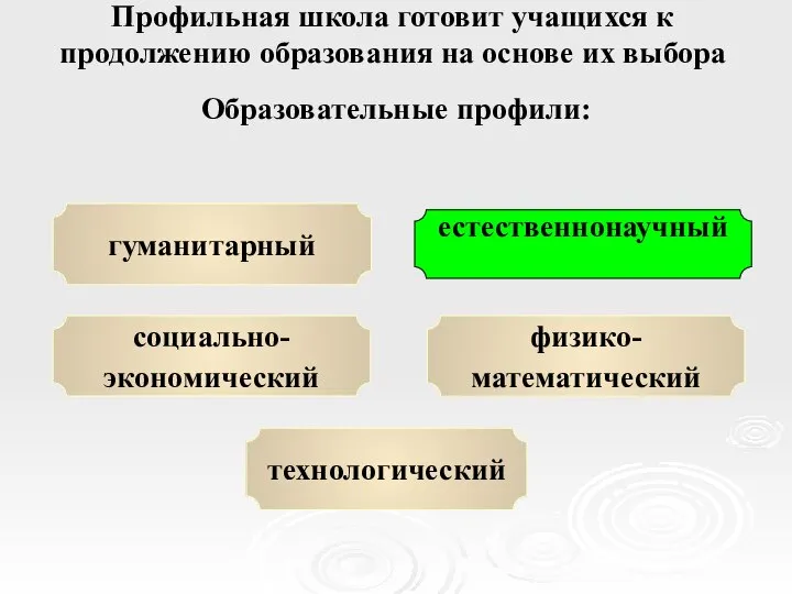 Профильная школа готовит учащихся к продолжению образования на основе их выбора